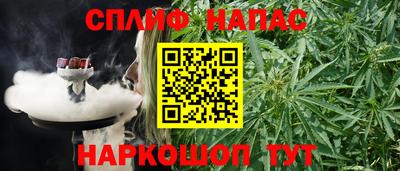 гидра Лесосибирск